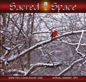 cover of book, Sacred Space