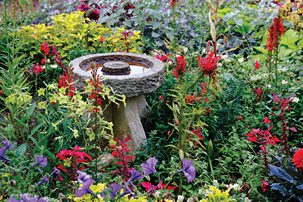 stone bird bath in lovely garden