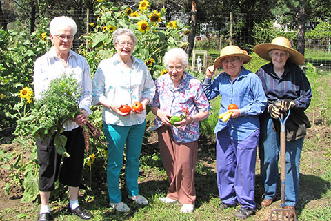 Sisters of St. Francis of Minnesota