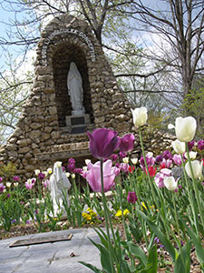 Sisters of Charity of Nazareth