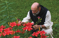 Brother Joseph Kronebusch, O.C.S.O. tends to lilies on the grounds of New Melleray Monastery in Iowa.